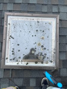 Window Cleaning in Narragansett, RI